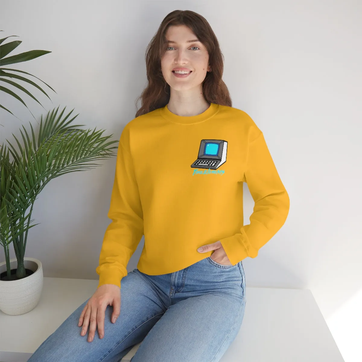 Retro Terminal Computer | Hipster Geek Sweatshirt